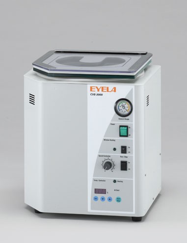 CVE-3000